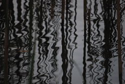 acqua