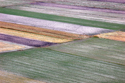 terra